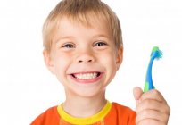 طب أسنان الأطفال في الحوزة: العنوان والتعليقات. الأطفال في عيادة الأسنان no 59 (موسكو)