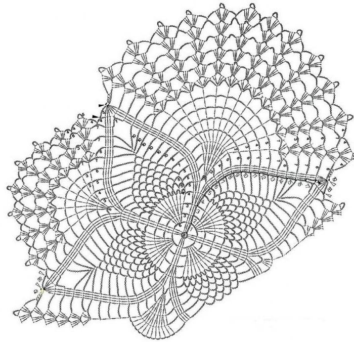 椭圆形的花边编织与图
