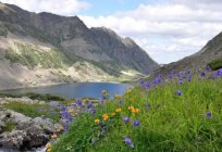 BAIKAL-Lenski State nature Reserve: interessante Fakten, Fotos. Flora und Fauna von BAIKAL-Lena Reservat