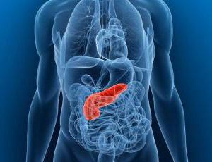 how to restore the work of the pancreas