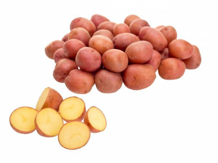 Ультраранние odmiany ziemniaków dla Przedmieścia