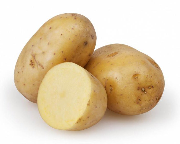 Frühe und ультраранние Kartoffelsorte