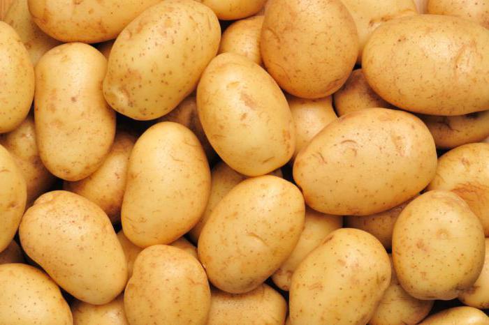 Ультраранние çeşitleri, patates için orta bant