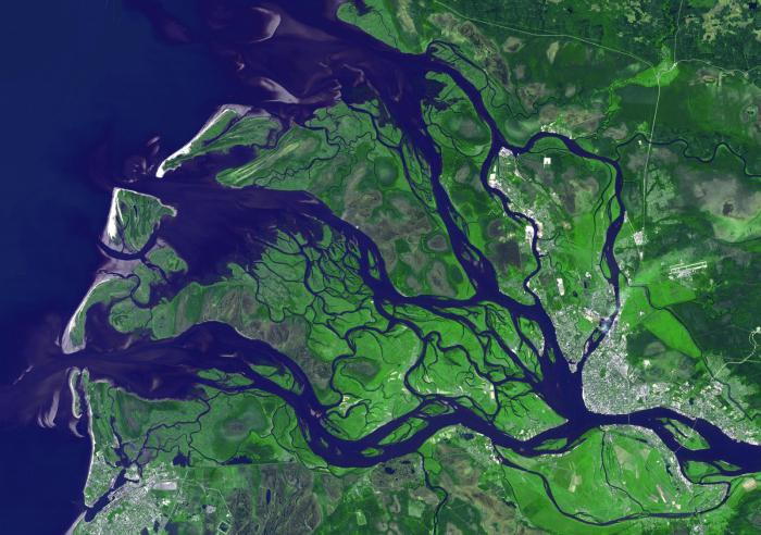 la desembocadura del río del norte Двина