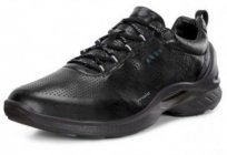 O melhor calçado para a vida – esta é a mens tênis Ecco Biom! Comentários de clientes