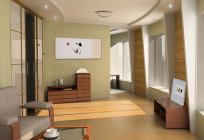 Stil im Innenraum im Wohnzimmer: japanische und skandinavische