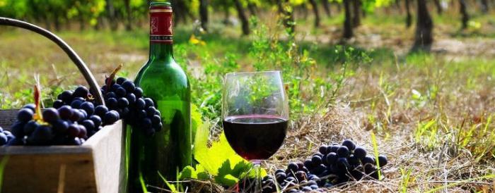 armenia wino
