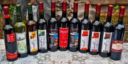 armenia wino opinie