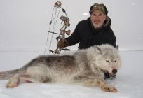 Die Jagd auf den Wolf und seine Abarten