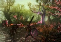 Enderal: The Shards Of Order - a review of features of passage and fashion