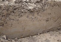 Boden Horizonte - Schichten der Böden, die im Prozess der почвообразования