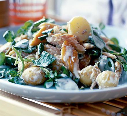 fish mackerel salad