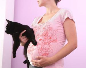плр токсоплазмоз і вагітність