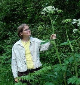 Hogweed how to deal with it