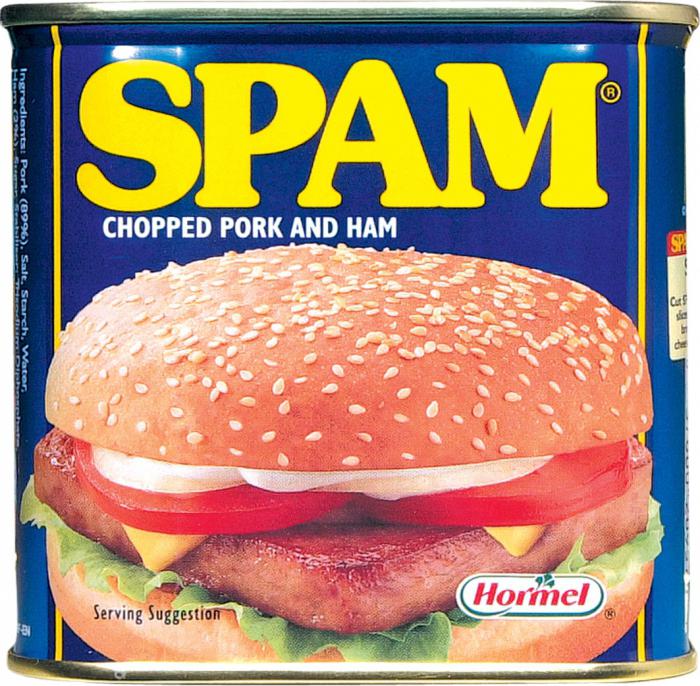 what is spam in email