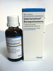 valerianella उपयोग के लिए निर्देश, मूल्य समीक्षा