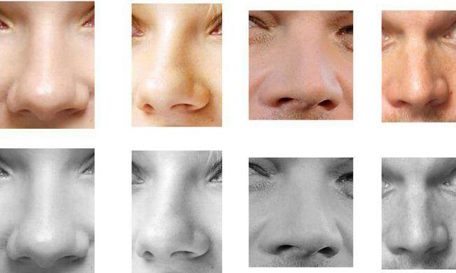 nose physiognomy