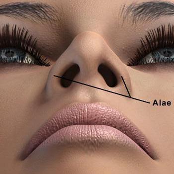 fisionomia nariz largo