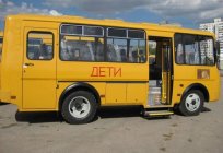 GAZ (autobus) - korzyści, kierunki, typoszereg