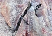 Basit yemek tarifleri: kurutulmuş balık