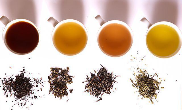 qual é o chá mais útil preto ou verde para perda de peso