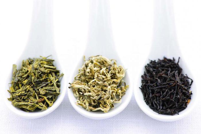 qual é o chá mais útil preto ou verde para emagrecer viajante