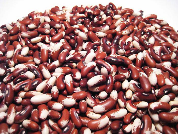 bean product list