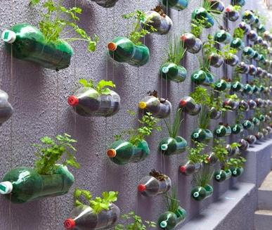 DIY花园与自己的双手自塑料瓶