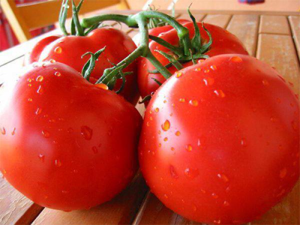 la Variedad de tomate de tanya