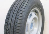 Overview of the Russian summer tire Amtel Planet