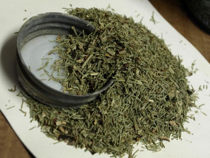 field horsetail medicinal properties