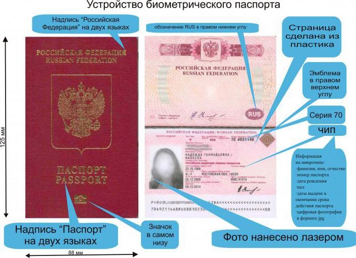 потрібен закордонний паспорт дітям до 14