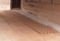 Brick brown: advantages and features
