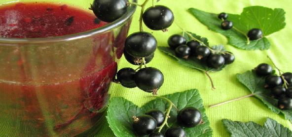 can black currants while breastfeeding