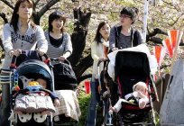 The Population Of Japan. The crisis and the ways out of it