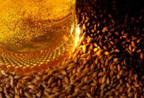 Barley malt: how to produce and what is used?