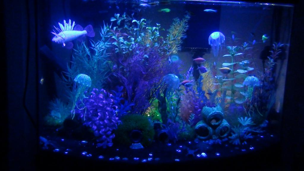 aquarium Lighting actinic lamps