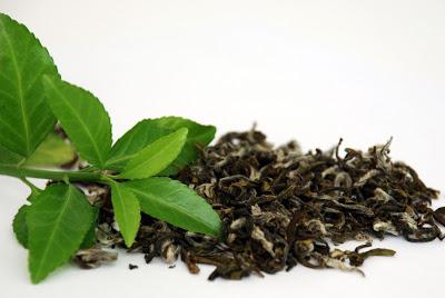 ¿se puede beber té verde 