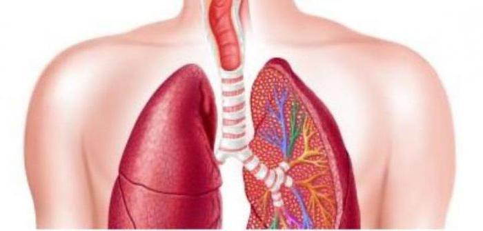 idiopathic płucna łykowatość icd 10