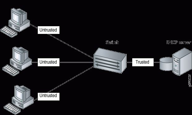 cómo habilitar el servidor DHCP del router
