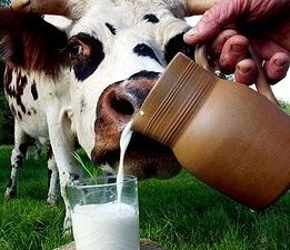 lo que es bueno a la leche de cabra