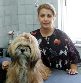 Anita veterinary clinic Ivanovo