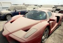 Enzo Ferrari: fotos, características
