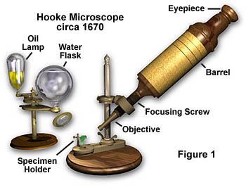 आविष्कार किया है जो आदिम माइक्रोस्कोप