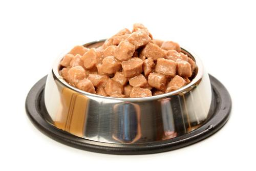 eukanuba medicinal dog food