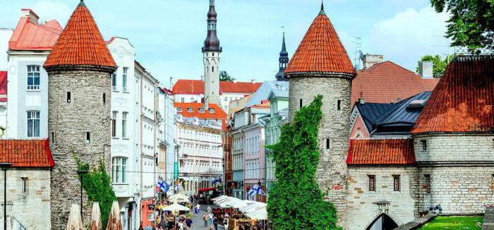 where to go in Tallinn with a child in winter