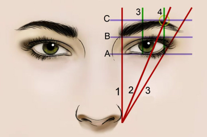 Formel Augenbrauen