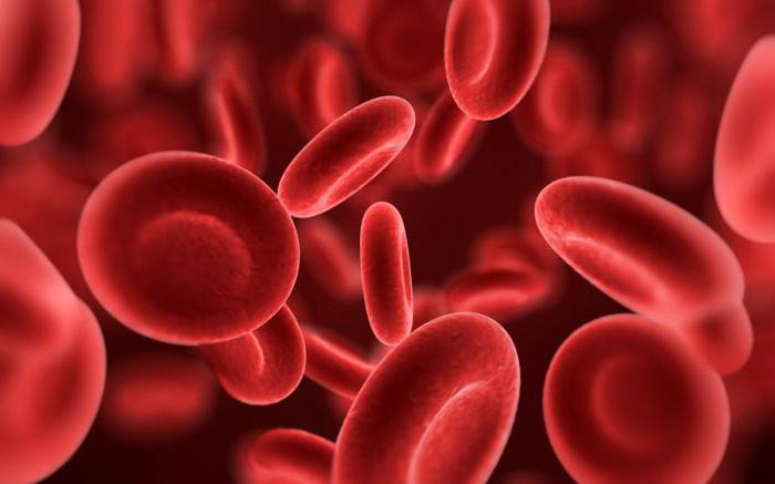 Produkty dla podniesienia hemoglobiny we krwi