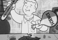 Komputerowa gra Fallout 4: tworzenie postaci (zalecenia graczy)