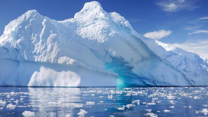 demektir adı antarktika